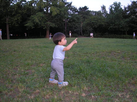 散歩の途中に指差すものは うちの子育て Photo Diary 散歩の途中に指差すものは うちの子育て Photo Diary