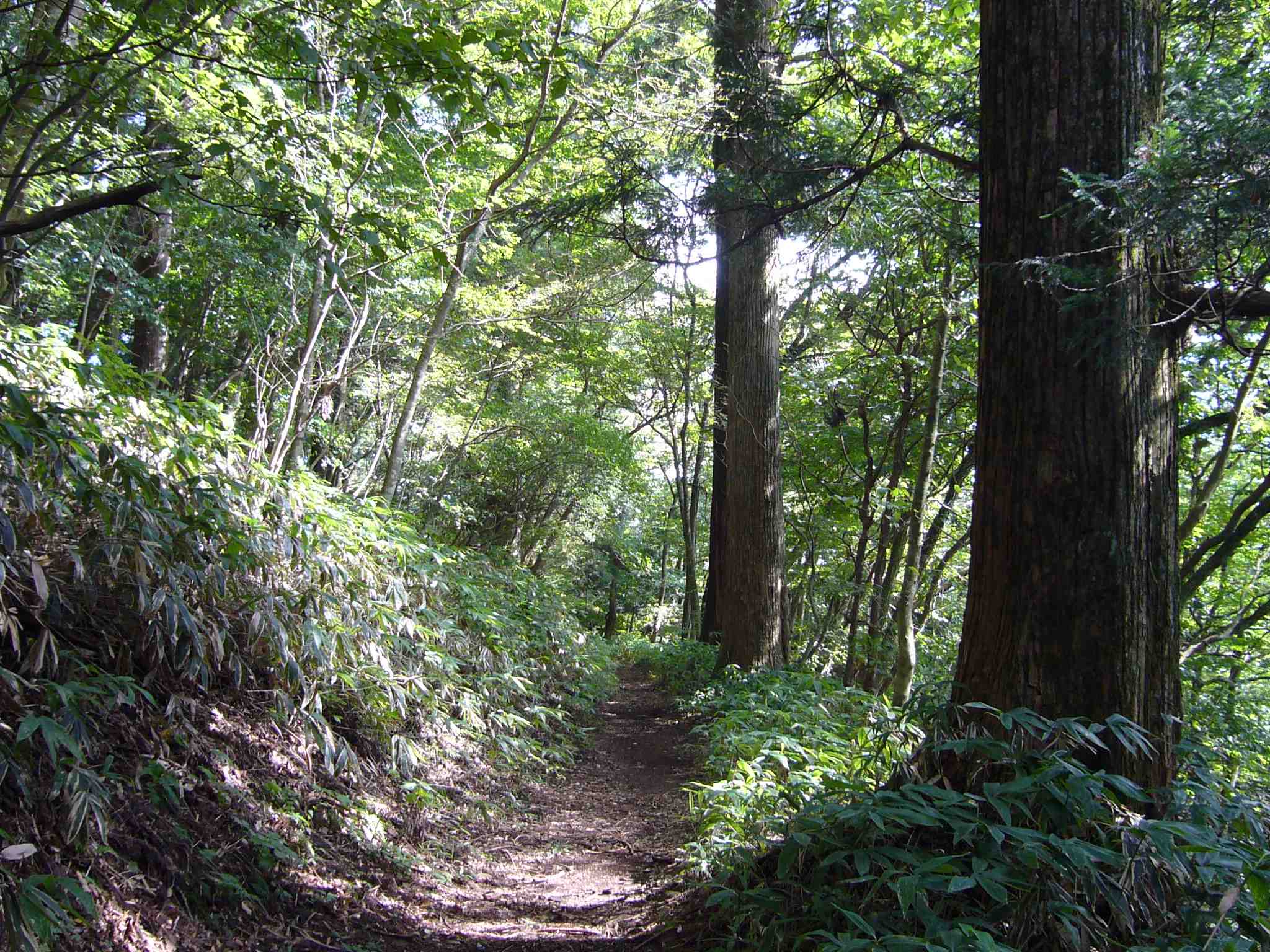 c0085163_2350334.jpg
