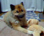 e0025267_2412623.jpg