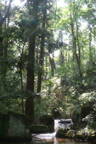 e0027083_22424538.jpg