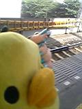 おはようございますっ_b0088086_9244989.jpg