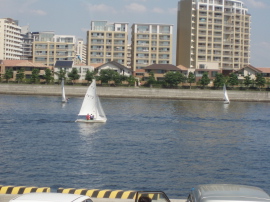 d0079988_1651319.jpg