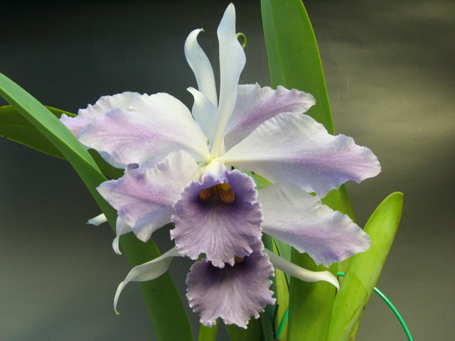 f0079388_23445866.jpg