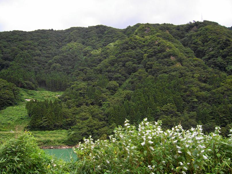 ぶらっと富山・・・神通峡・・・_b0109602_1745037.jpg