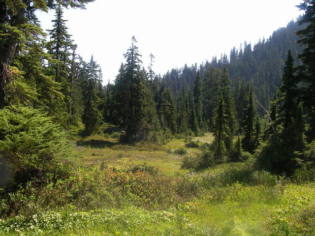Cutthroat Lake で食べるおにぎり_e0061902_132495.jpg