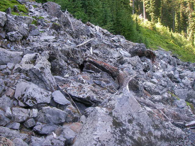 Cutthroat Lake で食べるおにぎり_e0061902_1342620.jpg