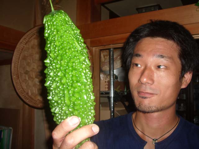 庭のゴーヤ!!_a0080406_23163599.jpg