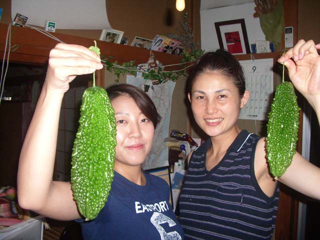 庭のゴーヤ!!_a0080406_23165567.jpg