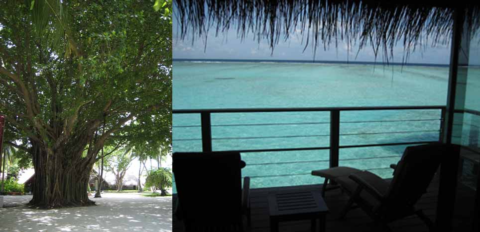 028【Atoll】_b0071712_17461785.jpg