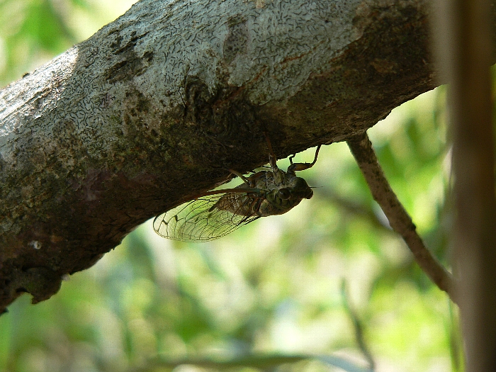 e0002314_20542857.jpg