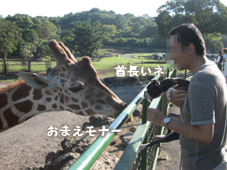 夏と秋の間の伊豆の旅_e0080117_21551579.gif