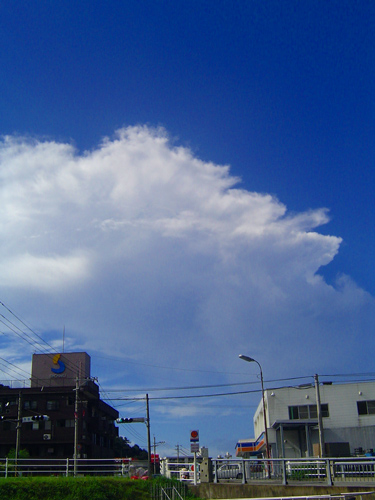 通りは晴れ、日曜_c0057821_19243458.jpg
