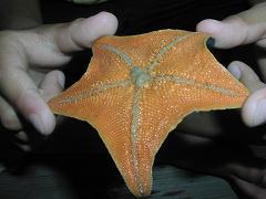 e0054022_11594146.jpg