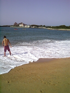 d0040244_0172367.jpg