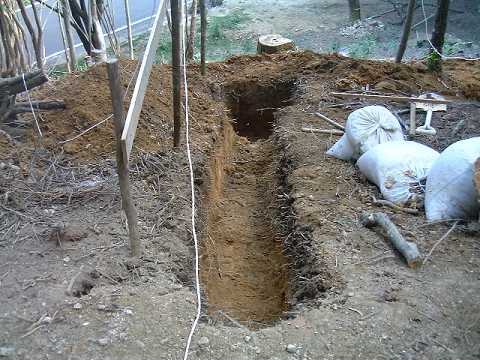 f0090444_22384345.jpg