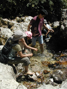 b0069848_76296.jpg