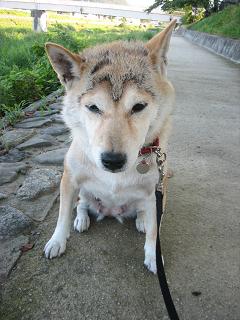 哀れな二人、いや、二匹。。。_c0049950_16385875.jpg