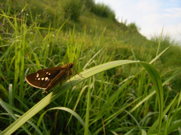 c0045352_17162530.jpg