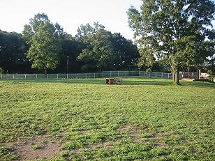 b0103668_21413261.jpg