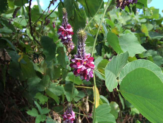 c0054876_63561.jpg