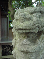 c0049902_725556.jpg