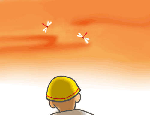 c0071003_1427325.gif