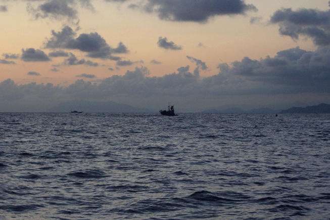 e0063003_1563369.gif