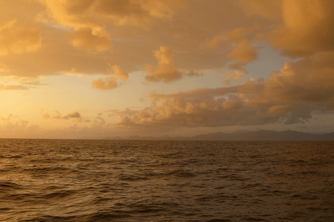 e0063003_159922.gif