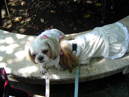 c0011204_2283337.jpg