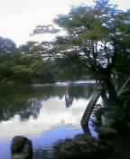 c0084506_16374361.jpg