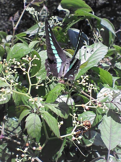 d0071507_20211658.jpg