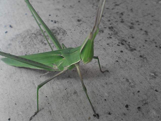 d0071507_20232524.jpg