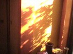 f0000211_1736494.jpg