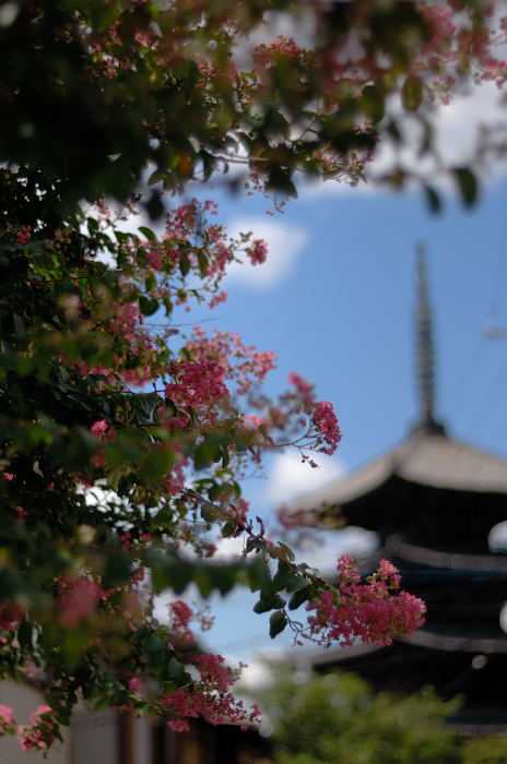 テクテク東山_f0032011_2135457.jpg