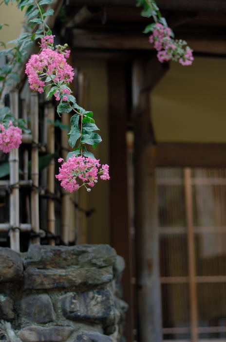 テクテク東山_f0032011_21355427.jpg