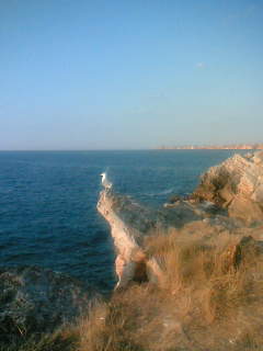 f0011022_13373212.jpg