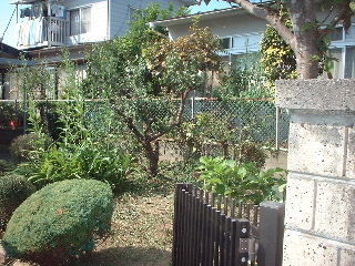 f0031037_16421824.jpg