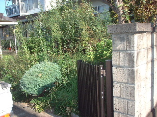 f0031037_1642476.jpg