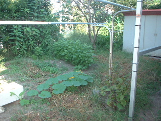 f0031037_1643126.jpg