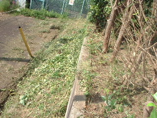 f0031037_16432294.jpg