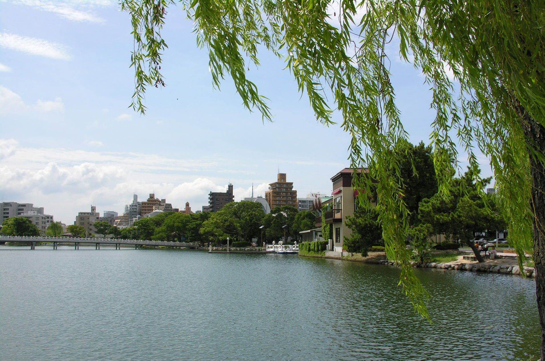 大濠公園_c0040346_6272188.jpg