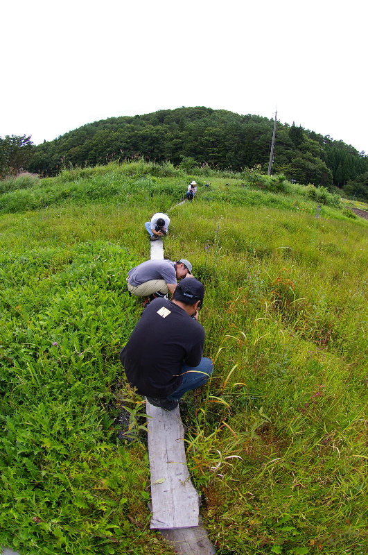 ９月２日　広島　八幡湿原（魚眼編）_a0009554_014785.jpg