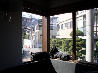建築家に設計を依頼するということ_e0051760_23223430.jpg