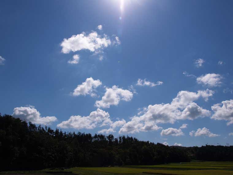 e0019563_2341919.jpg