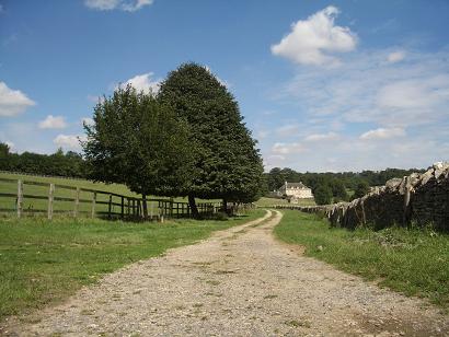f0031872_1618598.jpg