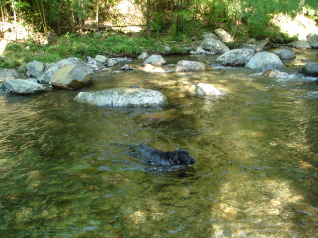 福地渓谷へ　お水遊び♪_d0078080_18412898.jpg