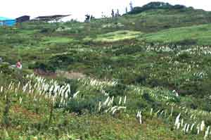 b0057885_852299.jpg