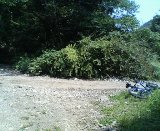 e0070286_1012720.jpg