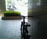 e0070286_1023240.jpg