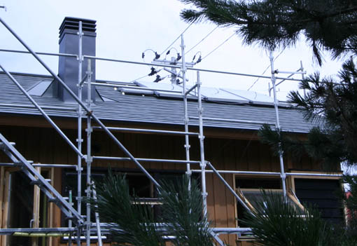 e0054299_145717.jpg